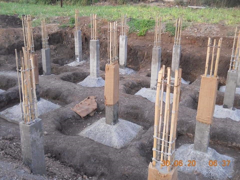 2.bamboo_in_foundation.jpg (213 KB)